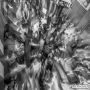 20160503_21-38-33_IMG_2541